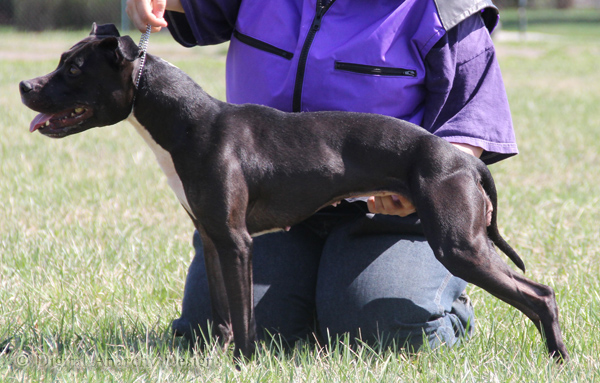 Lyric @ 4 Years (March 2012)